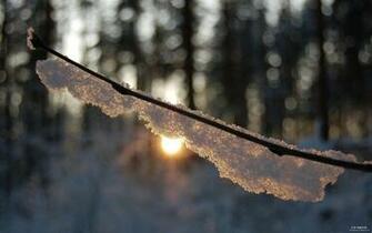 Warm Winter Wallpaper Image