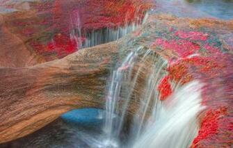 Wallpaper Mountains River Colombia Ca O Cristales The Serrania