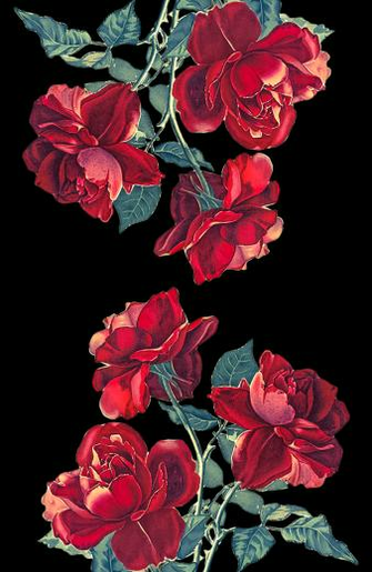 iPhone Xs Case Red Roses Transparent By Heart Of Hearts