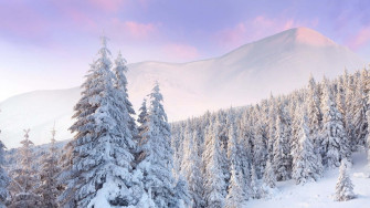 Snow 4k Wallpaper
