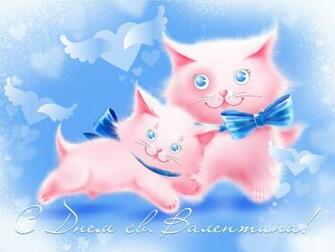 Cat On Valentine S Day February Wallpaper And Image