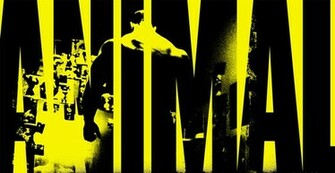 Animal Pak Fitness