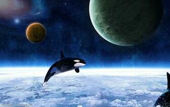 Killer Whales Wallpaper