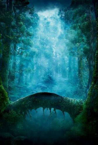 Brave Wallpaper HD Pictures And