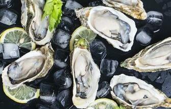 Photo Wallpaper Ice Lemon Black Background Oysters Ostras