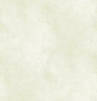 Off White Background Photo