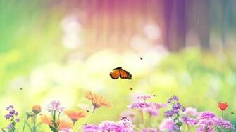 Butterfly Paradise Screensaver