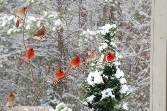 Another Amazingly Snowy Winter For The U S