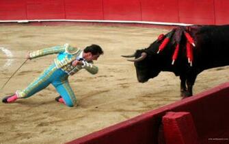 Bull Fighting Arts Wallpaper Desktop Travel