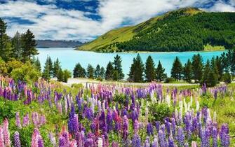 Desktop Spring Wallpaper HD Background Picture