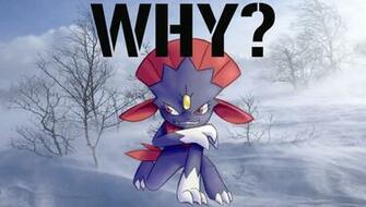 Pokemon Weavile Wallpaper And Desktop Background HD Picture