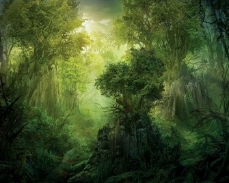 The Jungle