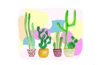 Cactus Wallpaper And Background Image Net