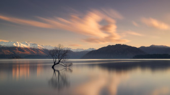 Presence Buy The Limited Edition Luxury Fine Art Print Online