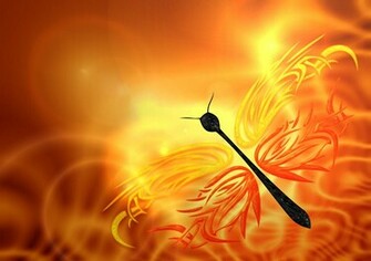 Beautiful Butterfly Wallpaperblaberize Blaberize
