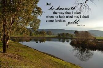 He Knoweth The Way That I Take Job