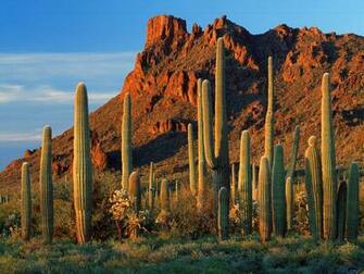 Phoenix Arizona Wallpaper On