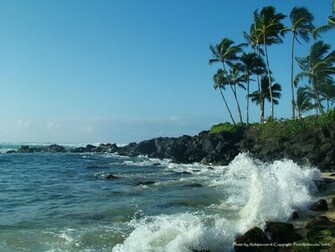Hawaiian Wallpaper