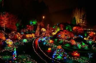 Christmas Wonderland National Geographic Photo Contest