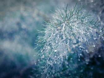 Raindrops Bokeh Mac Wallpaper