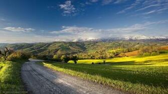 Wallpaper Road Summer Landscape Desktop In