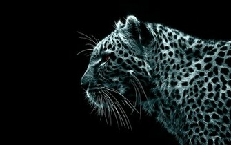 Desktop Background Computers Apple Mac Snow Leopard