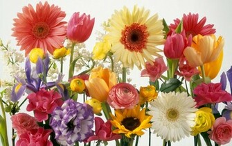Summer Flowers Wallpaper Which Is Under The