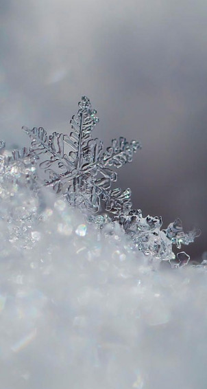 Winter Phone Wallpaper More Natal Snowflake