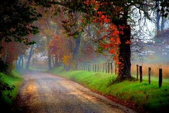Path HD Wallpaper Background Image