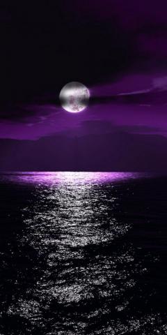 Background HD Wallpaper