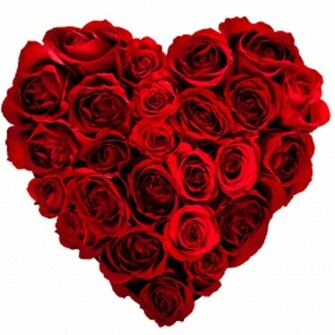 Red Roses Heart Shaped Wallpaper X