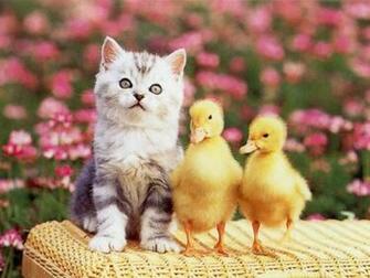 Screensavers For Easter Which Is Under The Wallpaper