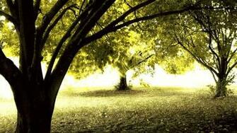 Nature Desktop Wallpaper HD