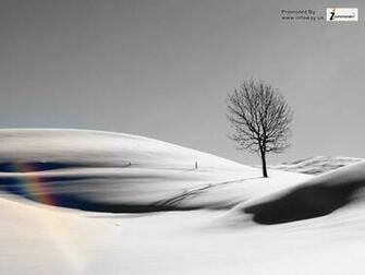 Black And White Landscapes Sand Trees Desert Fresh New HD Wallpaper