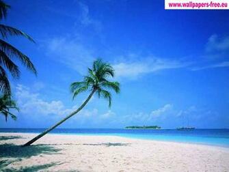 Beach Cartoon Eu And Screensavers Pixel Kb Jpg
