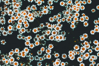 HD Satisfying Wallpaper