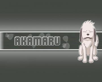 Naruto Akamaru Wallpaper Teahub Io