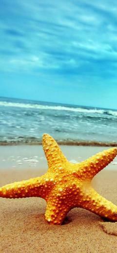 Background HD Wallpaper