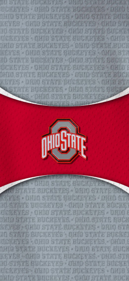 Ohio State University Gray And Red Wallpaper