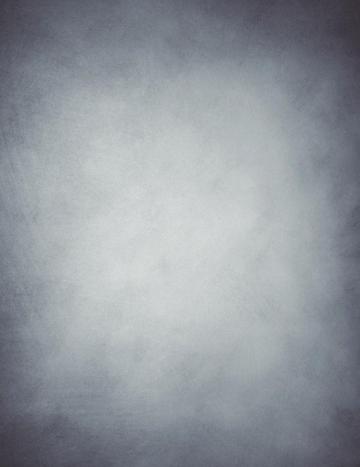 Light Gray Printed Old Master Backdrop Photography J New