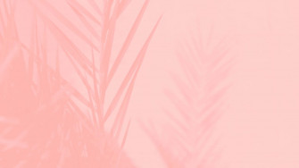 Aesthetic Computer Light Pink Leaves Silhouette Wallpaper