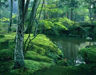 Kyoto Wallpaper
