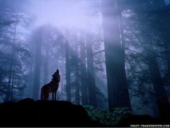 Wolf Wallpaper Crazy Frankenstein