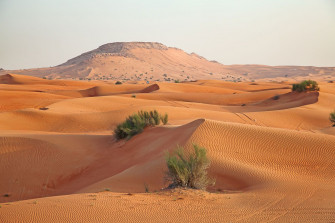 Arabian Desert Wallpaper