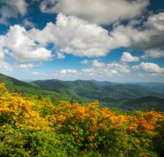 Background Test The Mair Agency Nc Health Insurance