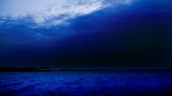 Night Sky Wallpaper