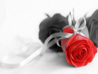 Pictures Of Flowers In Black And White Beautiful