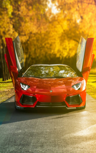 Red Lamborghini Aventador Roadster HD Mobile