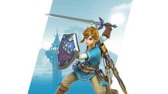 Super Smash Bros Ultimate Link Wallpaper Cat With Monocle