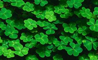 Background Clovers Vga Image At Clker Vector Clip Art